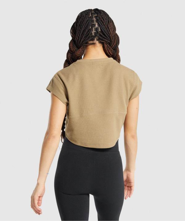 Damske Crop Top Gymshark Pause Svetlo Hnede | UC8314062